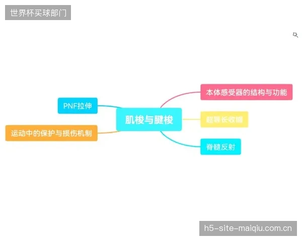 大多数体育App的团队由软件工程师构成，运动生理学和康复专家的缺位是导致“药方”不科学的根本原因